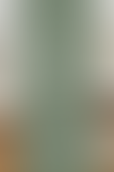 A blog cover image with text reading “The 8 Archetypes Most Drawn to Holistic Therapy (Which One Are You?)” over a calming living room background, representing reflection and personal growth.