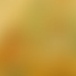 Piller före problemlösning – när vården tappar bort både etik och empati