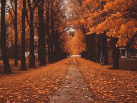 Navigating the Emotional Shifts of Fall: Embracing Change and Finding Balance