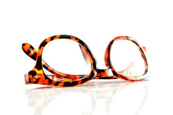 WhatsApp Image 2019-02-19 at 08.37.10