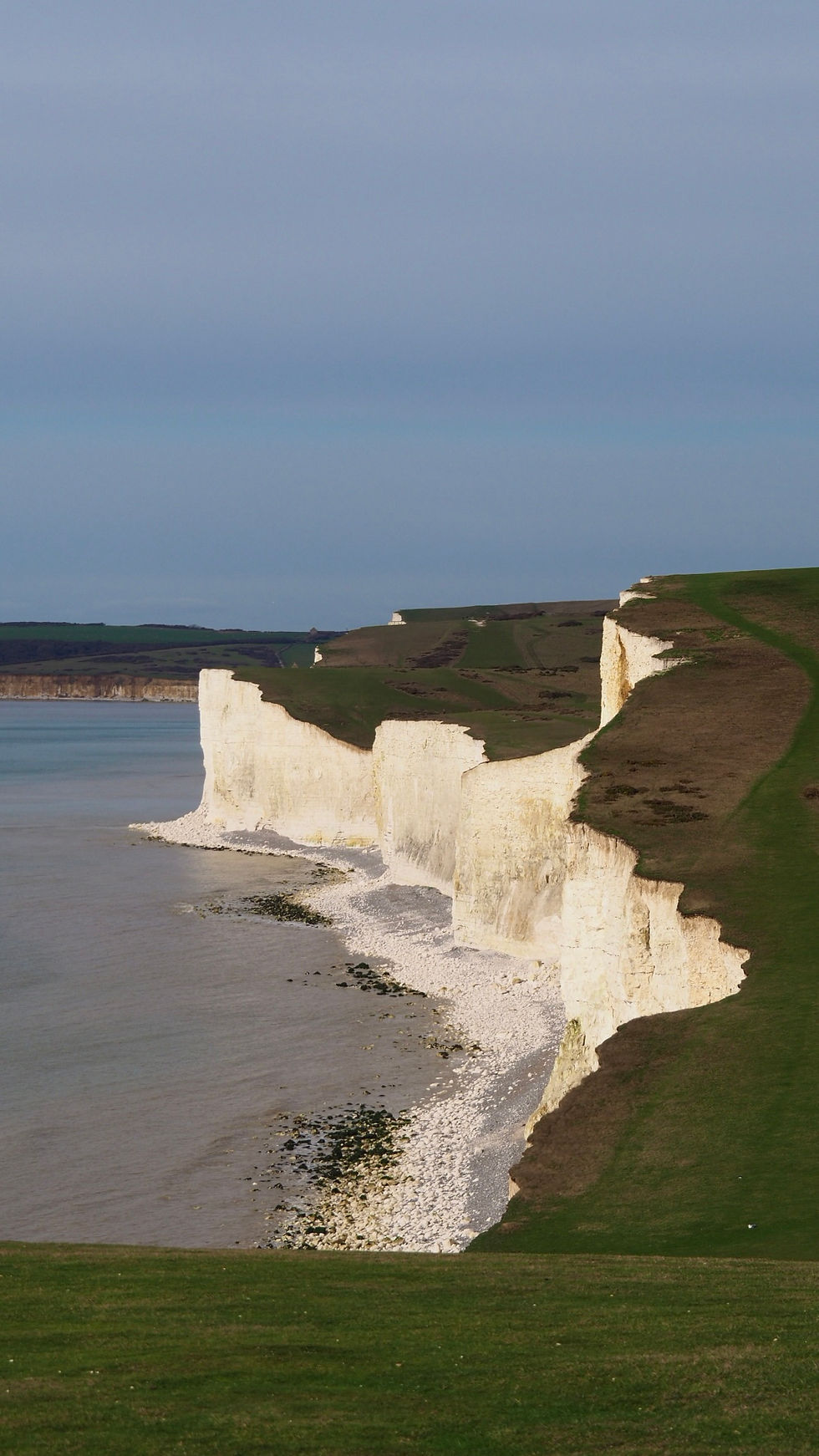 weiße Kreidefelsen mit grünem Gras bedeckt direkt am Meer