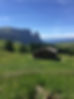 DFA475B3-FCC7-4B7C-A7D9-7F93012807FC.jpeg