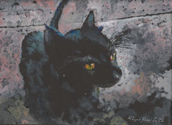 CatNamed Shvartzy 2022