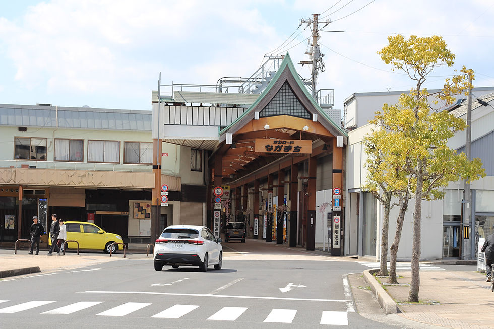 osusumegohan