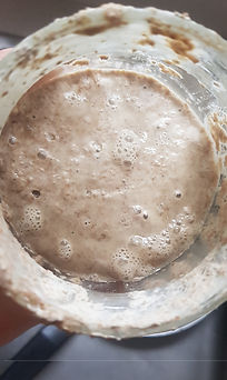 sourdough%20starter_edited.jpg