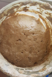sourdough%20day%207_edited.jpg