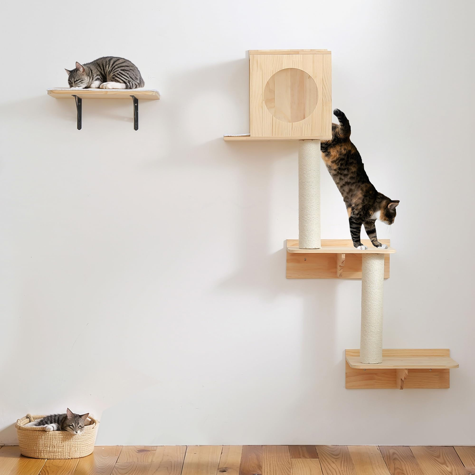 cat climbing and scratching post