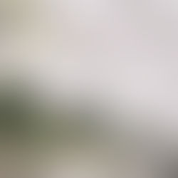 Canon EF135mm F2 の話