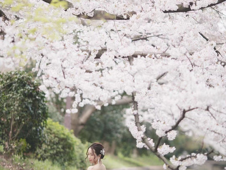 Canon EF135mm F2 の話