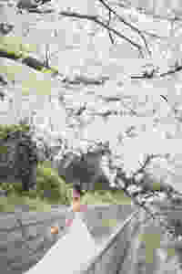 EF135mm F2