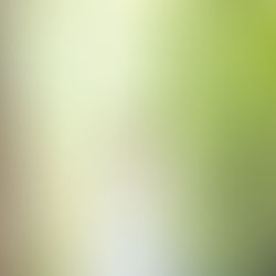 緑の森に囲まれて