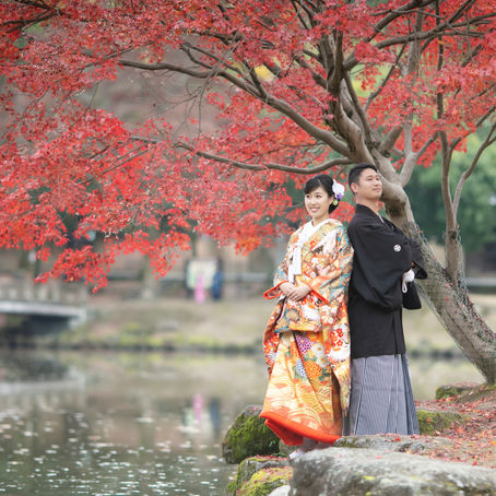 奈良公園前撮り撮影