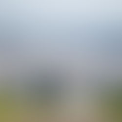 奈良　若草山　前撮り