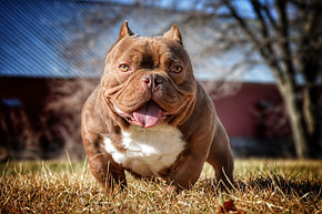 DSC_1187-01.jpeg