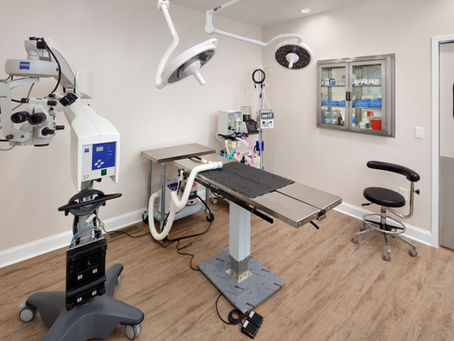 How to Reduce Energy Costs in Animal Hospitals