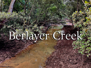 #32: Field Notes - An Exploration of the Greater Southern Waterfront: Labrador Park