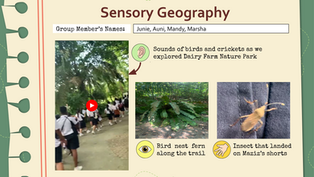 #35: Reflections from Sec 1 Geographical Investigation: Dairy Farm Nature Park (Actual Fieldwork)