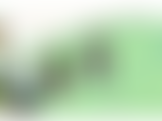 #61: Sec 1 Geographical Investigation: Use of Survey123 for Actual Fieldwork Data Collection