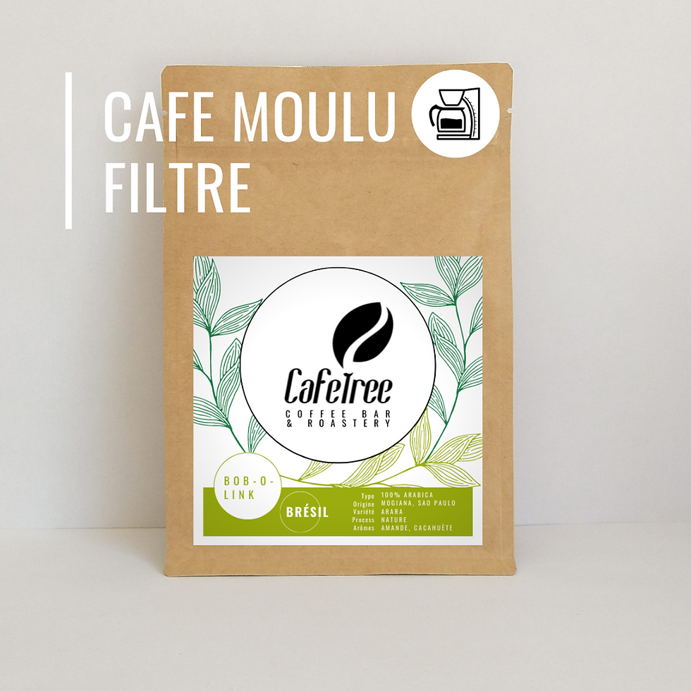 Miniature : Bob-o-Link - BRÉSIL