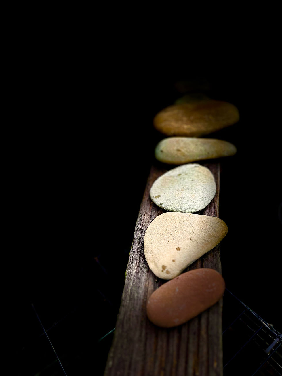 5 flat surfaced rocks for rock art 