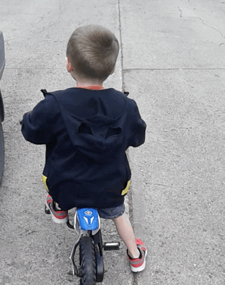 giphy (3).gif