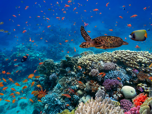 A Geodiversidade em ambientes marinhos 