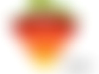 Dinâmica dos solos e sua contribuição para a Geodiversidade
