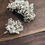 Küçük resim: BabysBreath Taraklı Toka