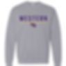 Thumbnail: WB CHEER  - WESTERN WB