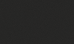 Texture grain foncée.png