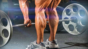 Biomeccanica for dummies