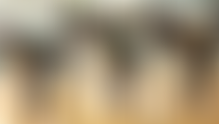 La gestione delle scapole negli esercizi di trazione