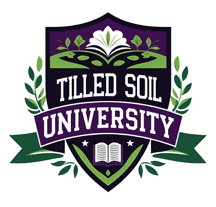 Untitled design (1).png