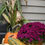 Thumbnail: Fall Decorating Package #1 - The Basic