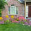 Thumbnail: Native Cottage Garden Design