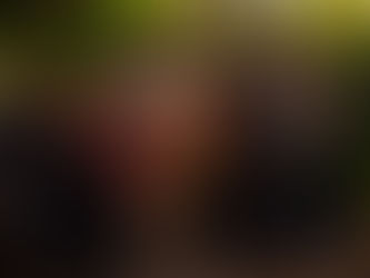 Merry Christmas and Happy New Year from Bountiful Gardens!