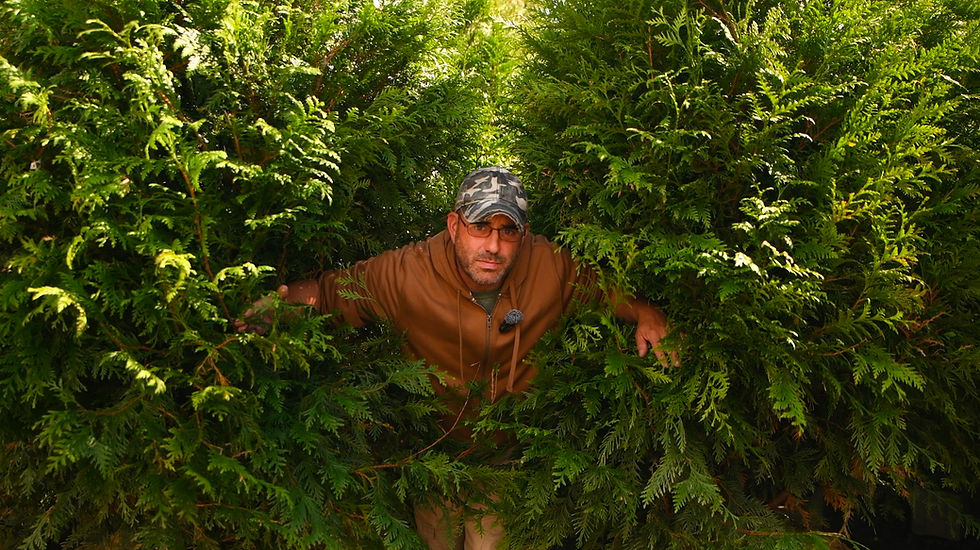 The 6-Foot Fence Trap: Why Fences Fail (And the Nature Hack That Fixes It) Plant A Living Wall!