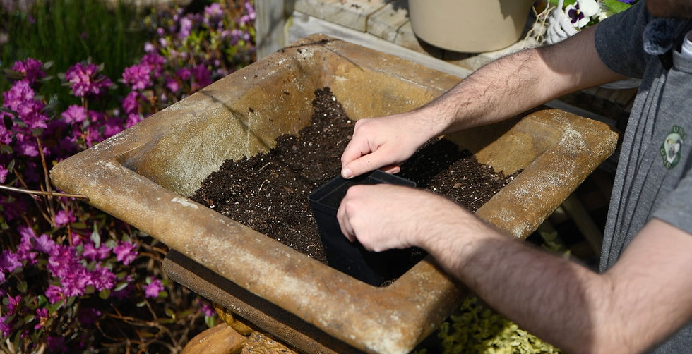Get a rough idea of how many plants you can include by plotting out a grid with a small pot
