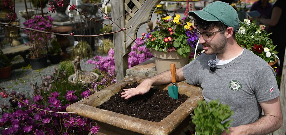 First things first--get your soil base in the planter!