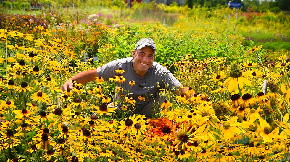 🌼 The Rudbeckia Revolution: Beyond the Basic Black-Eyed Susan 🐝 WATCH the Video!