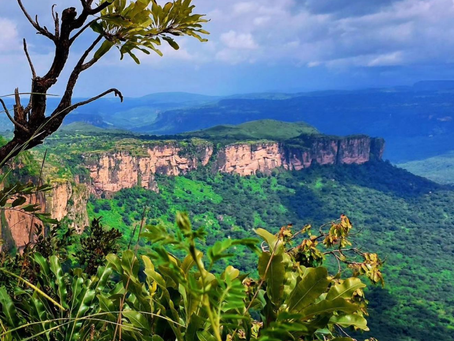Vue de Doucky, petit village de huttes situé à 1200 mètres d'altitude en Guinée
