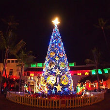 🎄クリスマス ナイトツアー🎄_12月のハワイは素敵です😍_今年もクリスマス