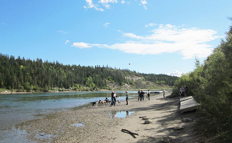 beuna vista riverbed edmonton dog park
