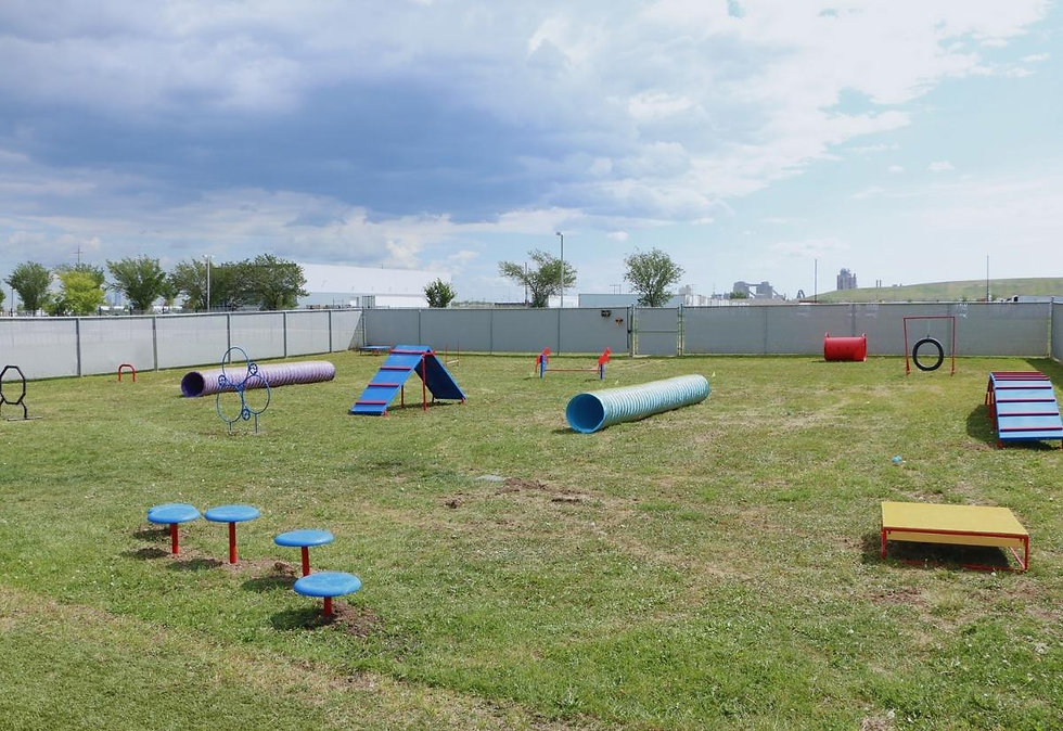 edmonton humane society dog park and training grounds