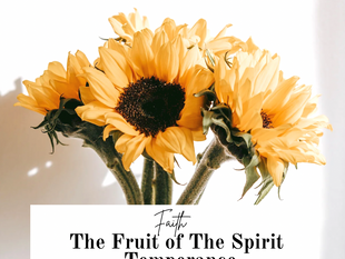 The Fruit of The Spirit - Temperance