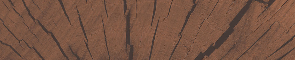 Cracked Wooden Texture_edited.jpg