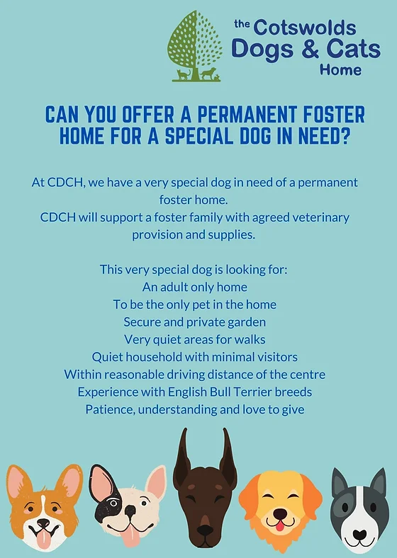 cotswold cats and dogs