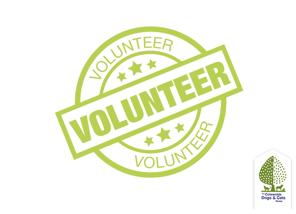 Corporate Volunteering