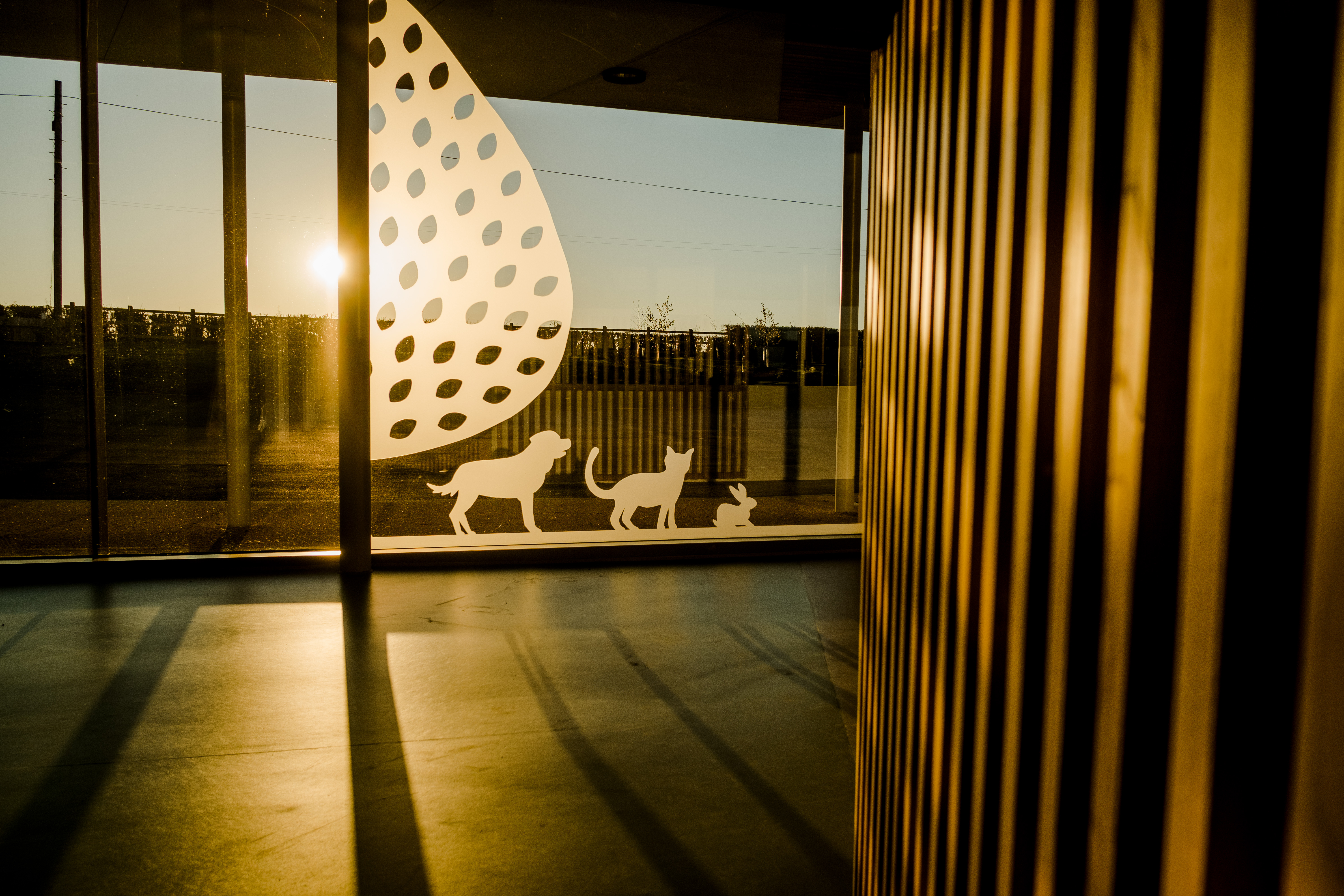 Sponsor A Kennel Or Pod