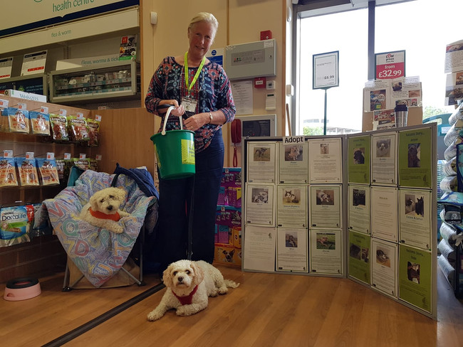 Santa Paws Appeal With Pets At Home Yate